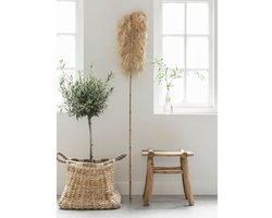 Must Living Mand Palette large