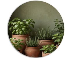 Muurcirkel Dibond - Decoratie woonkamer - Botanicals - Bohemian - Muurdecoratie - Keuken - Groen - 60x60 cm