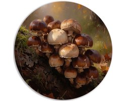 Muurcirkel PVC - Decoratie woonkamer - Bruin - Muurdecoratie - Keuken - Landelijk - 60x60 cm