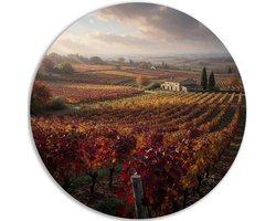 Muurcirkel PVC - Impressionisme - Lichtval - Wolken - Herfst - Decoratie - Wanddecoratie woonkamer - Landelijk - 40x40 cm