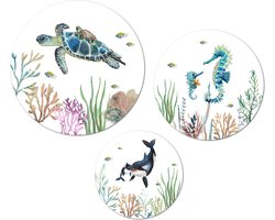 Muurcirkel / Wandcirkel zeedieren colourful sea life middel - set van 3 muurcirkels + ophangsysteem - Decoratie kinderkamer / babykamer jongens & meisjes