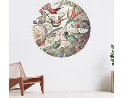 Muurcirkel zelfklevend behang - Hummingbirds - Wanddecoratie - 080cm behangcirkel - Ronde sticker voor aan de muur - Behangsticker verkrijgbaar in verschillende formaten