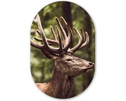 Muurovaal 80x120 cm - Ovale wanddecoratie Hert - Natuur - Gewei - Bos - Dieren - Ovalen schilderij - Muurdecoratie woonkamer - Kamer decoratie - Schilderijen - Wandcirkel