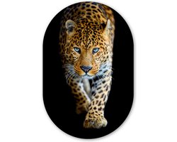 Muurovaal - Kunststof - Wandovaal - Luipaard - Zwart - Dieren - 40x60 cm - Wanddecoratie ovaal - Ovaal schilderij - Kamer decoratie - Woondecoratie