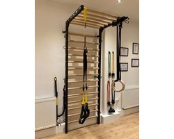 Muurplank van Metaal en Hout met Pull-Up Systeem voor Fysiotherapie en Gymnastiek, 240 x 90 cm