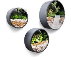 Muurplanter - Set van 3 Metalen Ronde Muur Plantenbak - Hangend - Muur - Vaas - Bloempot voor Binnen - Woondecor - Benodigdheden voor planten, Cactus, Vetplanten - Mos Donkergrijs - 10cm Dik