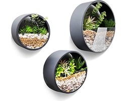 Muurplanter - Set van 3 Metalen Ronde Muur Plantenbak, hangend, muur, vaas, bloempot voor binnen, woondecor, benodigdheden voor planten, Cactus, Vetplanten. Sappig, Mos Donkergrijs, 10cm dik