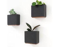 Muurplanters Alma Moderne Hangende Plantenpotten Gemaakt van Hars | Set Plantenhouders voor Kamerplanten Kunstplanten en Meer Zwart Flower Hanger