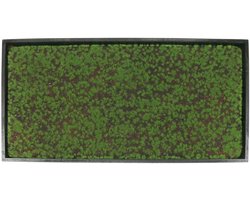 Muurschildering mos in een groene lijst 60x30cm Wanddecoratie gemaakt
