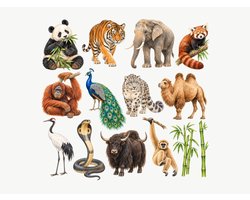 Muurstickers Kinderkamer Dieren uit Azië - Set van 14 - Reuzenpanda, Tijger, Olifant, Rode panda, Orang-oetan - Zelfklevend en Verwijderbaar - 150 x 150 cm