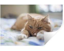 Muurstickers - Sticker Folie - Kat - Bed - Bedsprei - Meisjes - Kinderen - Jongens - Kind - 60x40 cm - Plakfolie - Muurstickers Kinderkamer - Zelfklevend Behang - Zelfklevend behangpapier - Stickerfolie