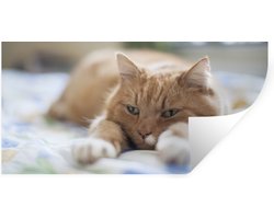 Muurstickers - Sticker Folie - Kat - Bed - Bedsprei - Meisjes - Kinderen - Jongens - Kind - 80x40 cm - Plakfolie - Muurstickers Kinderkamer - Zelfklevend Behang - Zelfklevend behangpapier - Stickerfolie