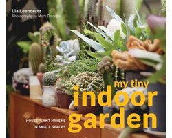 My Tiny Indoor Garden