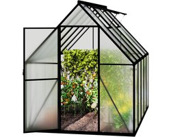 NAIZY Broeikas, aluminium tuinkas, met 6 cm fundering en 4 mm pc-plaat, broeikas, tomatenkas, tuinhuis, uv-bestendig, weerbestendig, voor de tuin, 125x180x195 cm