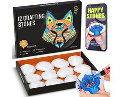 NAPI Happy Stones Stenen + Cursus: Stenen Schilderen - 12 Witte Keien - Gladde Egale Keien - Pakket - Beach Pebbles - 4 tot 8cm - Wit