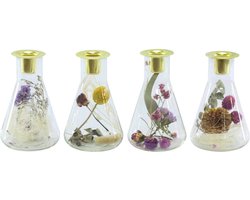 Natural Collections - Kaarshouder glas met droogbloemen - 15 cm hoog - 2 stuks