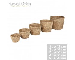 “NATURAL LIVING” SET VAN 5 MANDEN IN ZEEGRAS Ø12CM/14CM/16CM/18CM/20CM
