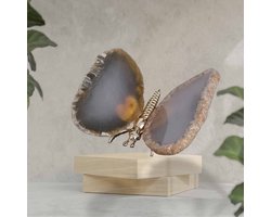 Naturel Agaat Vlinder