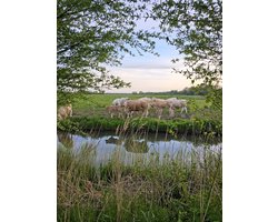 NatureNLProducts Natuur Landschaps foto op Canvas