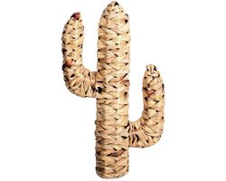 NATUURLIJK LEVENDE Cactus GEMAAKT VAN WATERHYACINT 45X25XD9CM