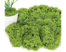 Natuurlijke IJslandse Mos voor Decoratie, 100 g, Lichtgroene Kunstmos voor Creatieve Projecten, Interieurdecoratie en Tuinaccessoires