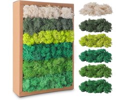 Natuurlijke Stabilized Mos voor Decoraties, 200g Groen Kunstmos voor Interieur en Tuinaccessoires