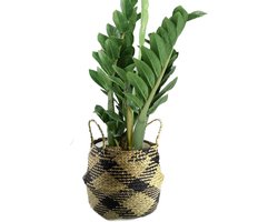 Natuurlijke zeegras mand met handvat, stijlvolle opbergoplossing van 27cm x 24cm voor huis en tuin