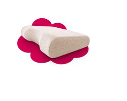 NeckSupport-Ergonomisch neksteunkussen bij whiplash en nekklachten | 15 cm hoog - 40x60