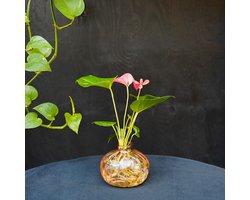 Nela | Anthurium | Hydroponie |Glas Roze | Bloem Roze