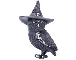 Nemesis Now Owlocen Unisex beeld - zwart - Standard