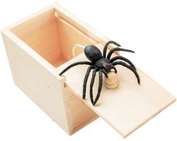 Nep Spin in doos-Mini spin grapdoos - Perfecte grap voor verjaardag of Halloween - Onschuldige schrik met rubberen spin - Herbruikbaar grapjes pakket - Leuk cadeau-idee