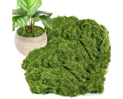 Nepgroen mos voor potplanten - 200 g kunstmos als decoratie voor knutselwerkjes - geconserveerd mos voor doe-het-zelf, decoratieve mos als middelpunt, woondecoratie