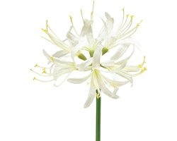 Nerine Guernsey Lelie Kunstbloem Wit Geel Ø15cm L65cm