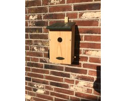 Nestkastje groot - Vogelhuis met Wifi camera