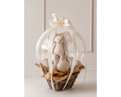 Neutraal Newborn Cadeau – 5 delig - Luxe Kraamcadeau met Knuffel & Ballonnen – Babyshower & Zwangerschap Cadeau – Jongen & Meisje