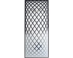 NeXtime - Wandklok - 30 x 70 cm - Glas/Spiegel - Zilver - 'Pendula'