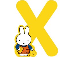 Nijntje Letter 8cm - X