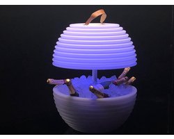 Nikki Amsterdam | The.Bowl | Multicolor LED verlichting | Bluetooth Speaker | Bowl | Wijnkoeler | Champagnekoeler | Ijskoeler | Ice Bucket | Ijsemmer | Tuin Verlichting | Feest Verlichting | Met gratis App bedienbaar | 60cm doorsnee |