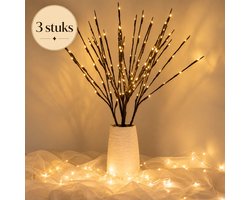 Nina’s Giftshop® Kerst Takverlichting – Decoratieve Takken met LED – Kerstverlichting – Kerstdecoratie – Sfeerverlichting – Woondecoratie – 20 LED – 3 Stuks