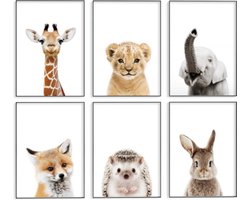 No Filter - Baby Dieren posters - 6 stuks - 21x30 cm (A4) - Poster set – Babykamer/kinderkamer posters – wanddecoratie