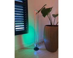 NoaLED x - Vloerlamp - zwart - + Afstandsbediening - Ovaal - Led Lamp - Staande lampen - RGB lamp- Zwart