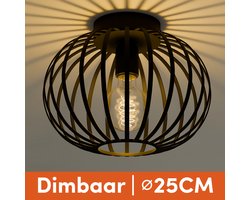 Nolt Plafondlamp Zwart - Plafonniere E27 Lamp - Industrieel - ⌀ 25cm