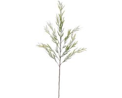 NON BRANDED BAMBOE TAK GROEN - L93CM 147527 GREEN01