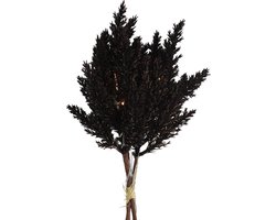 Non-branded Decoratietak Astilbe Led 25,4 Cm Hout/veren Zwart