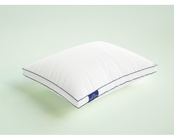Nordic Paradise - Deluxe Donzen Hoofdkussen - Zacht - Dons kussen - Anti Allergie Kussensloop - 50x60cm