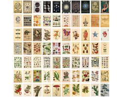 Nordivar - Vintage botanische muurcollage set - Indie Room Decor - Plantencollage - Woonhuisdecoratie - Muurkunstdrukken - 70 stuks