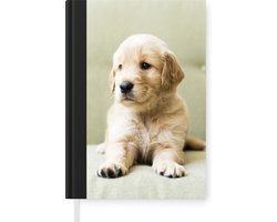 Notitieboek - Schrijfboek - Golden Retriever puppy liggend op de bank - Notitieboekje klein - A5 formaat - Schrijfblok
