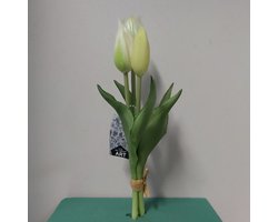 Nova Nature Holland tulp bundel Sally x3 25cm creme