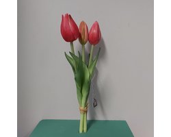Nova Nature Holland tulp bundel Sally x3 25cm rood