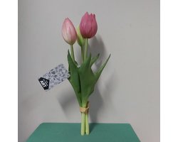 Nova Nature Holland tulp bundel Sally x3 25cm roze